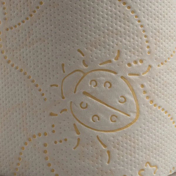 Coccinella