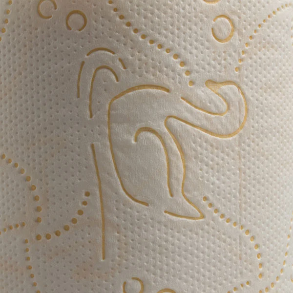 Cigno