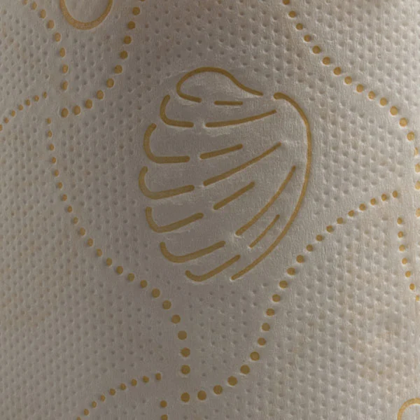 Conchiglia